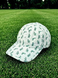 Sprints OG Turtles Hat