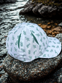 Sprints OG Turtles Hat