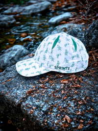 Sprints OG Turtles Hat
