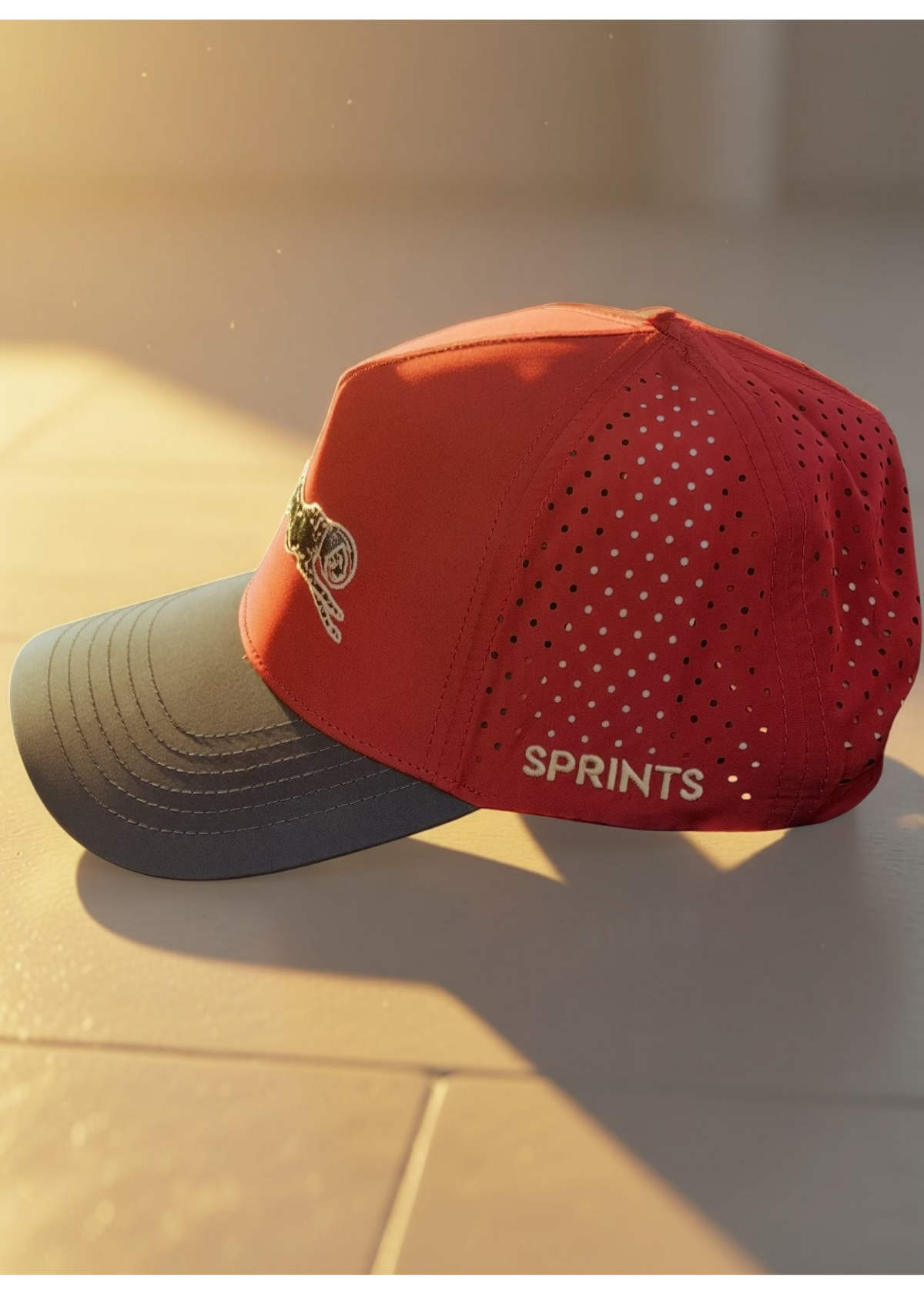 Victory Sprints Hat